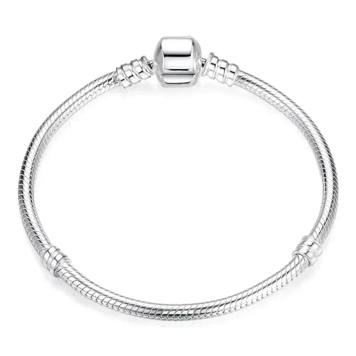 Jednoduchý strieborný náramok s charms